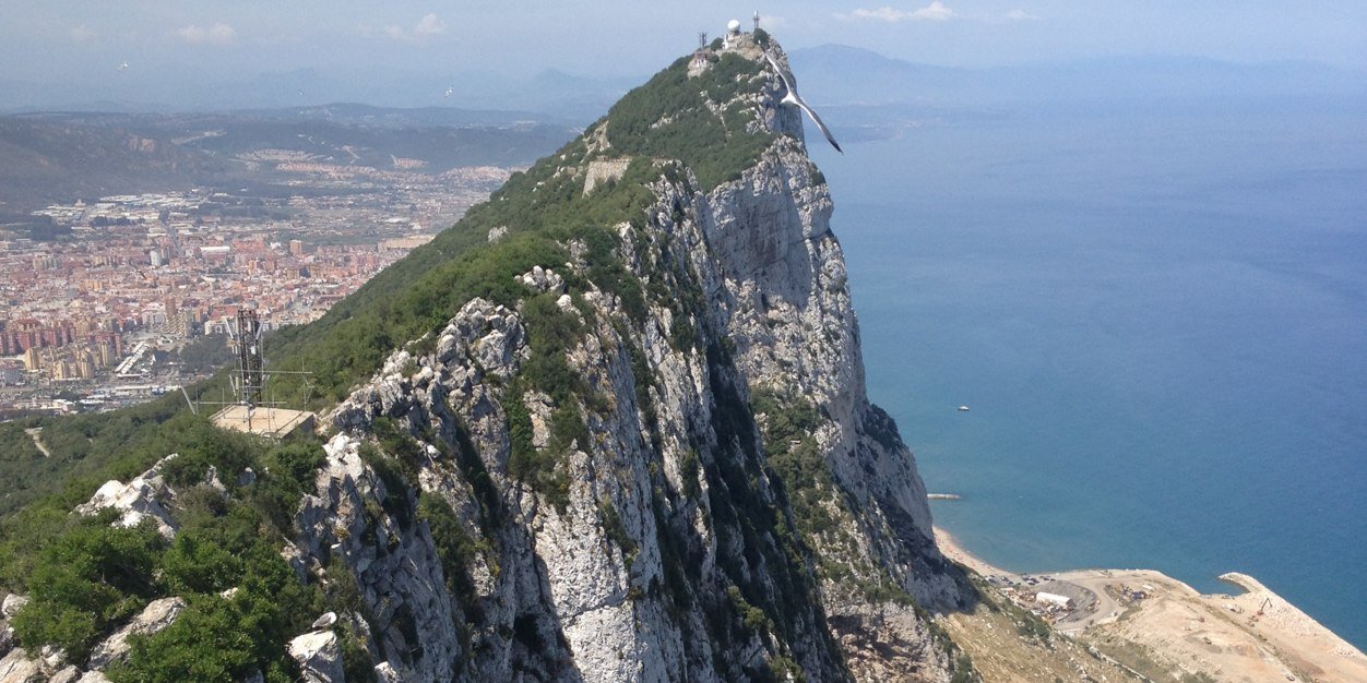 brian buckley banner