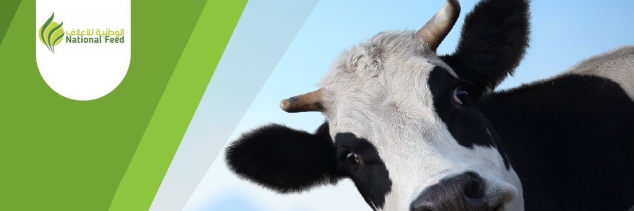 National Feed banner