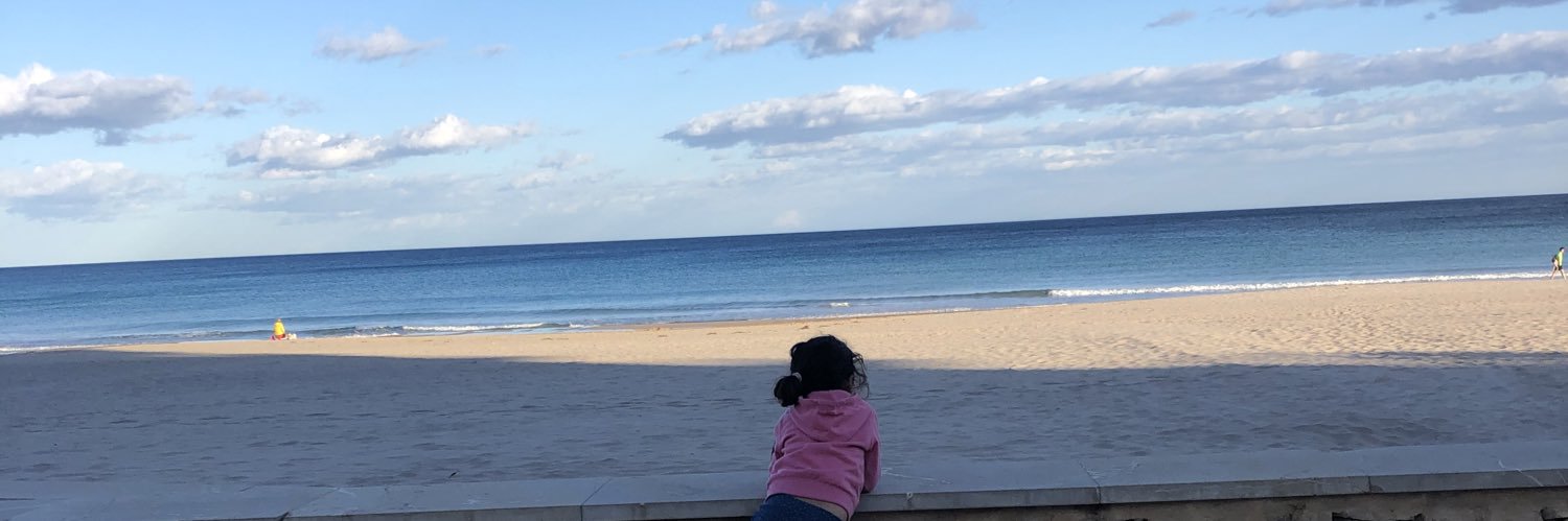 Anabelle Chinea banner