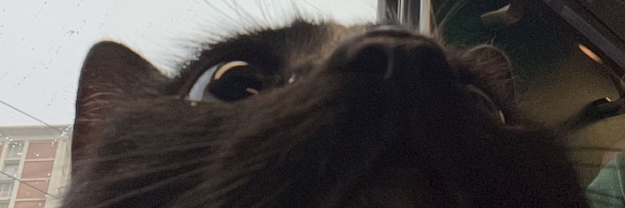 jxdeek's profile banner image