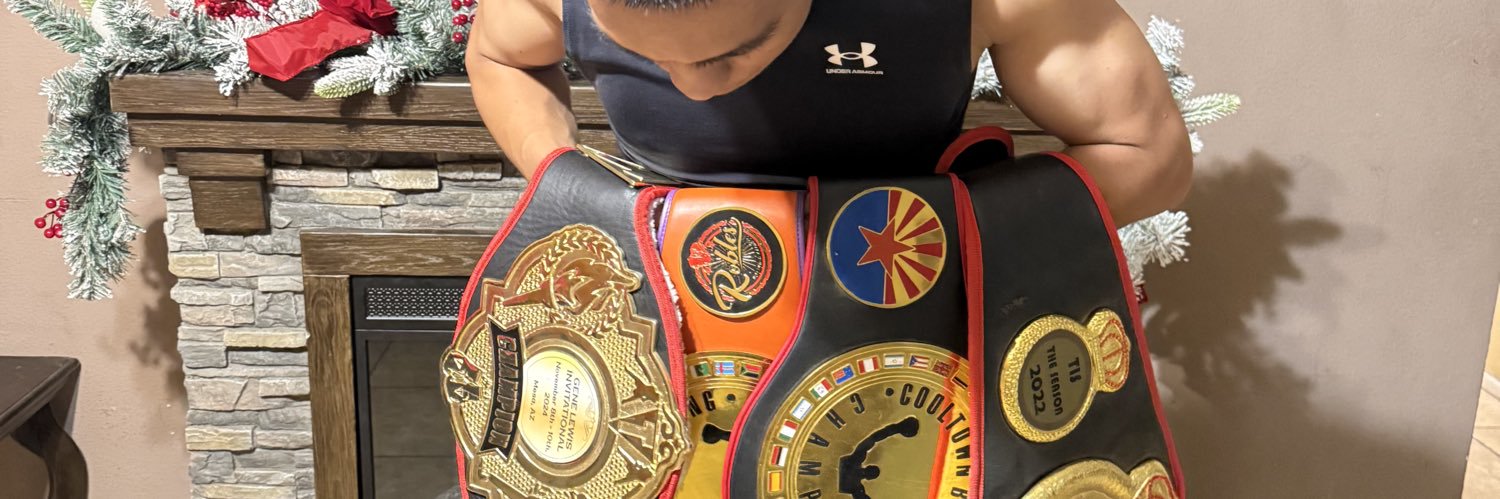 nicotheboxer's profile banner image