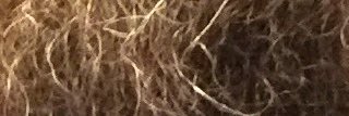 SkrrrtRussell's profile banner image
