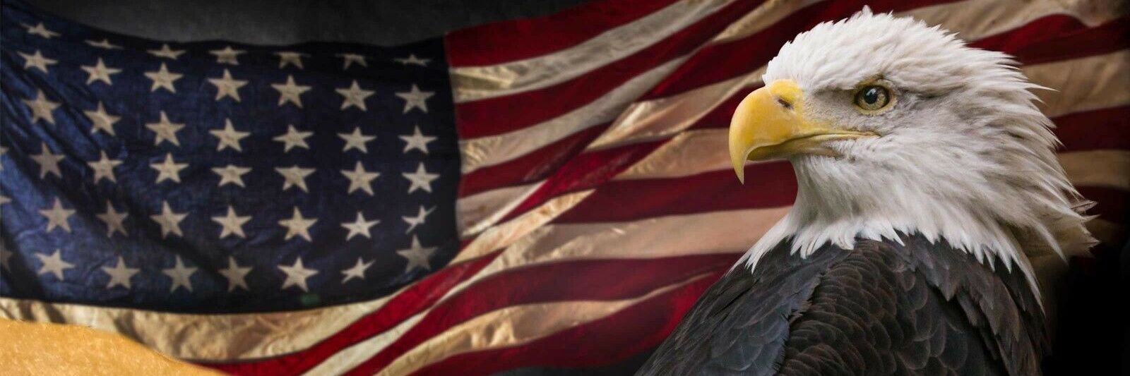 chris 🇺🇸 banner