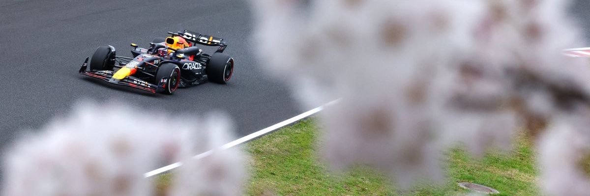fernandamingo's profile banner image