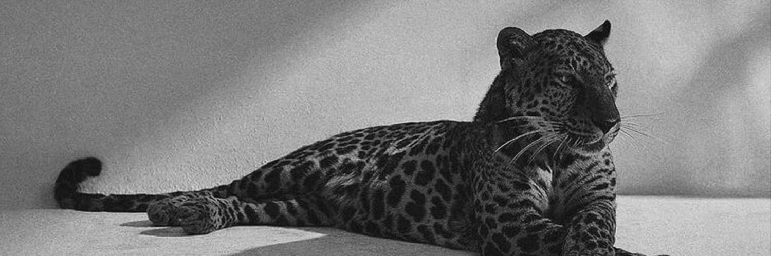 𖠚̾ banner
