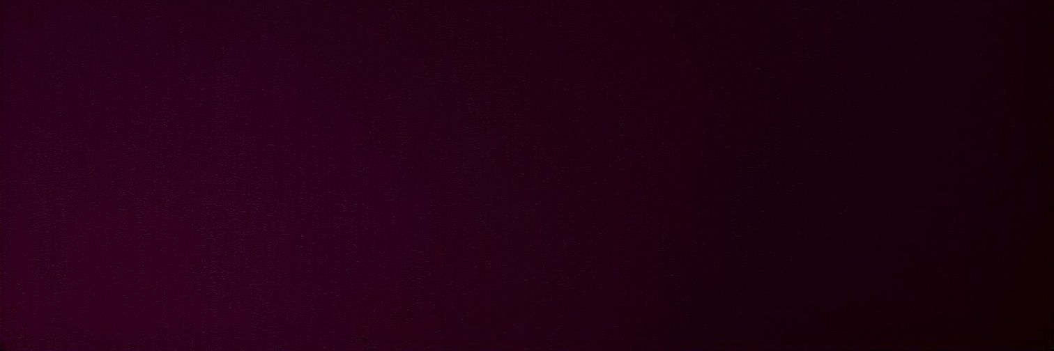 Arrival Pro Wrestling banner