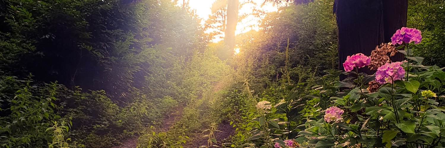 Emily_Nem's profile banner image