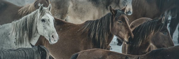 IsmailEnver38 Profile Banner
