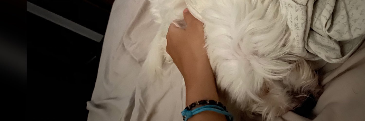 I N G R I D 🦄 banner