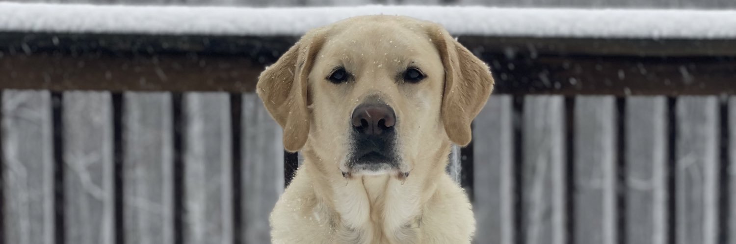 jestheticc's profile banner image
