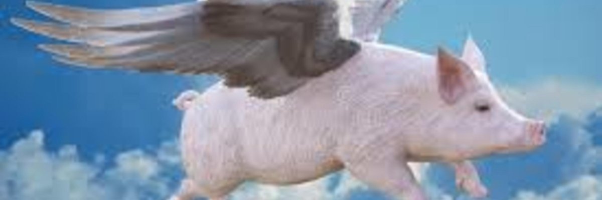 My Thoughts Exactly banner