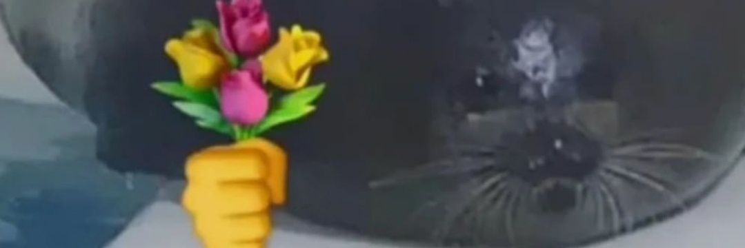 guutii_09's profile banner image