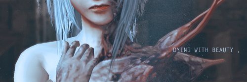 TheUndyingBond's profile banner image