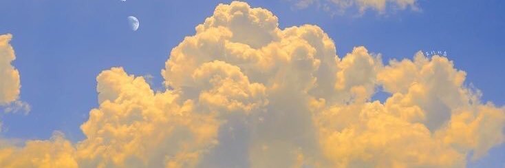 LauraMm23's profile banner image