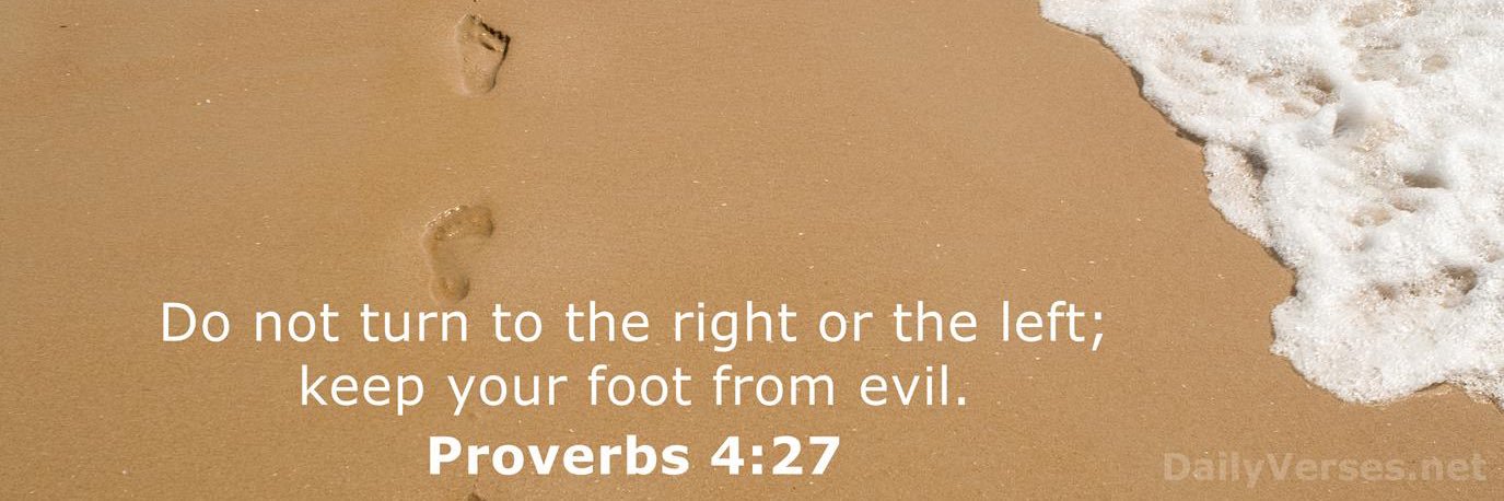 Courtney Gore banner