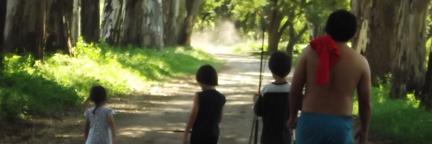 Maria Fernanda banner