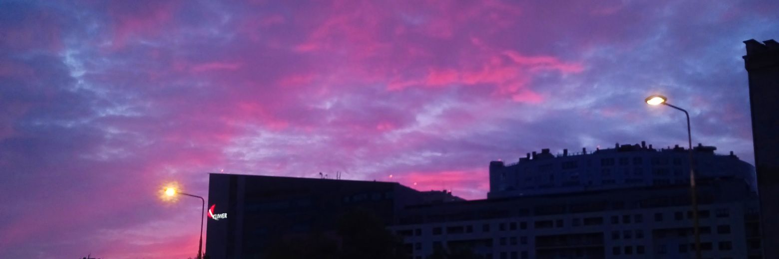 Imanol Galarraga banner