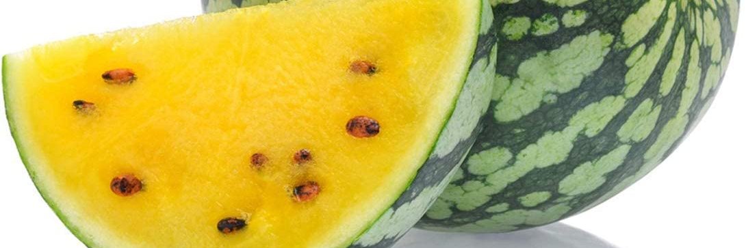 oiterlemon's profile banner image