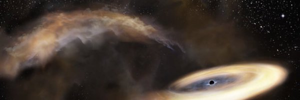 TheFly_Investor Profile Banner