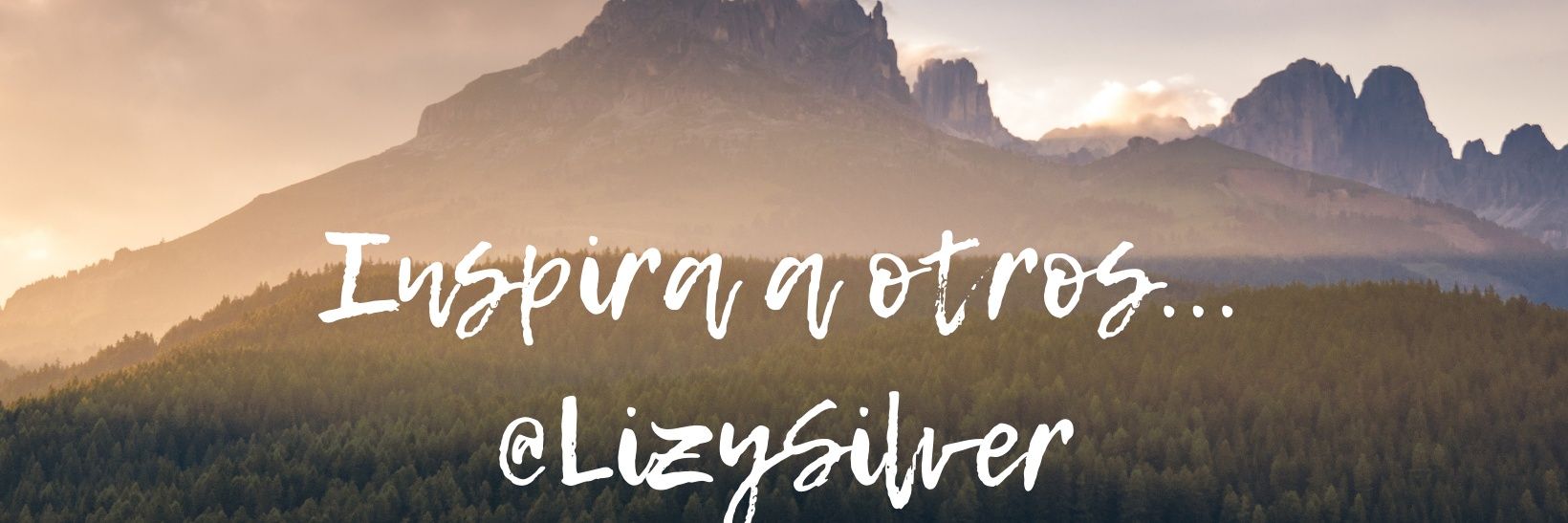 Lizet Plata banner