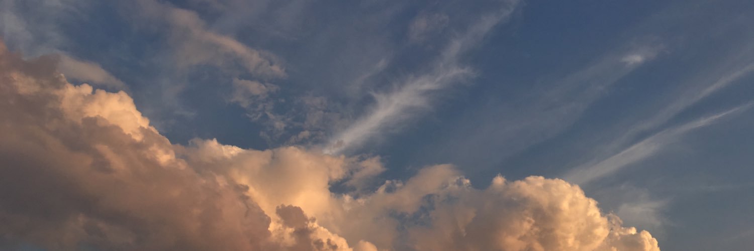 _inga_1's profile banner image