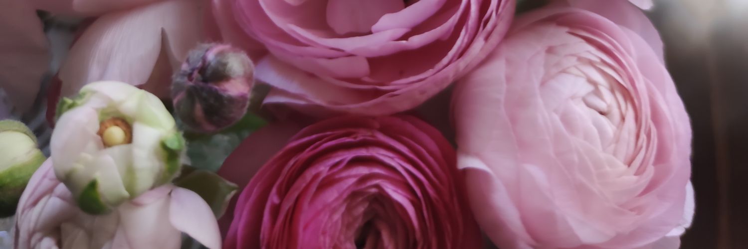 savanahwilliam7's profile banner image
