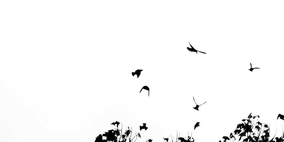 _Noorah_3's profile banner image