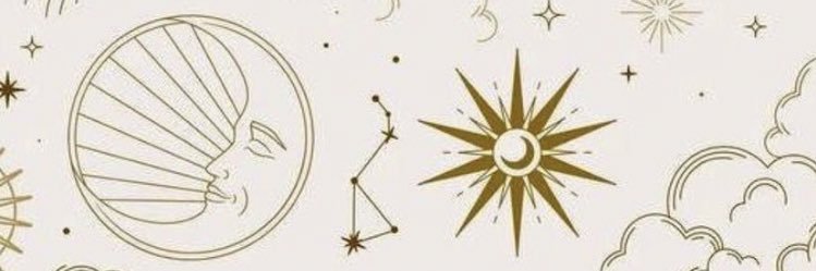 ⑂✺ℓᾰ 🌷🤍 banner