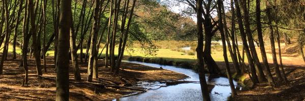 JimenaCandano Profile Banner