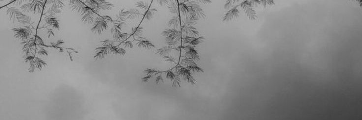 Bn099x's profile banner image