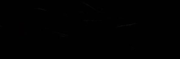 مَ. banner
