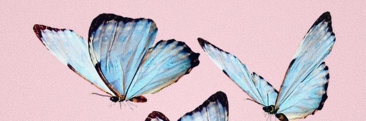 deytondeller's profile banner image