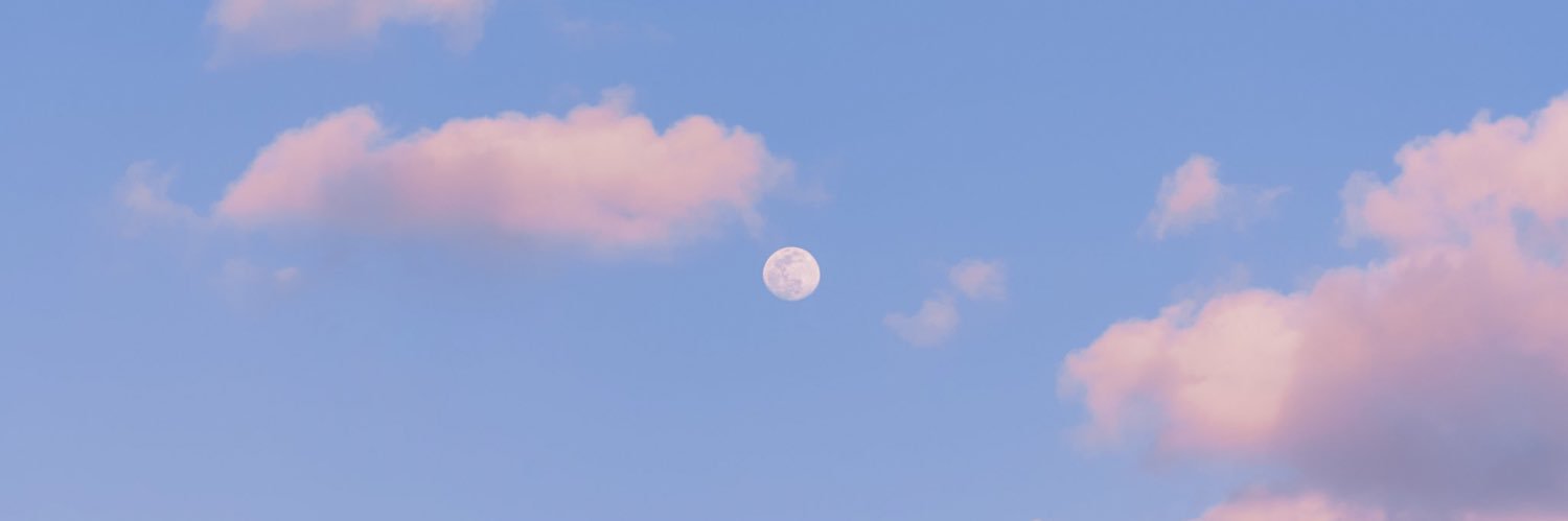 🧸🌻 banner