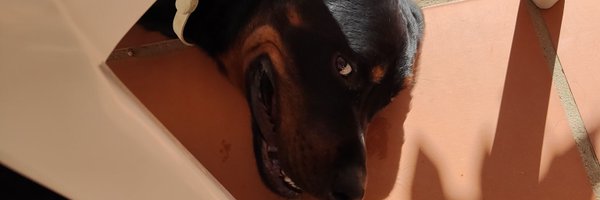 LuiisP_RL Profile Banner