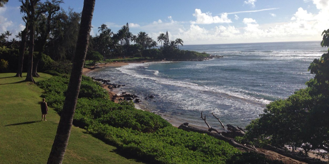 Dave MacDonald 🇨🇦🇺🇦🇬🇱 banner