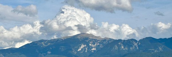 xavierbernadi Profile Banner