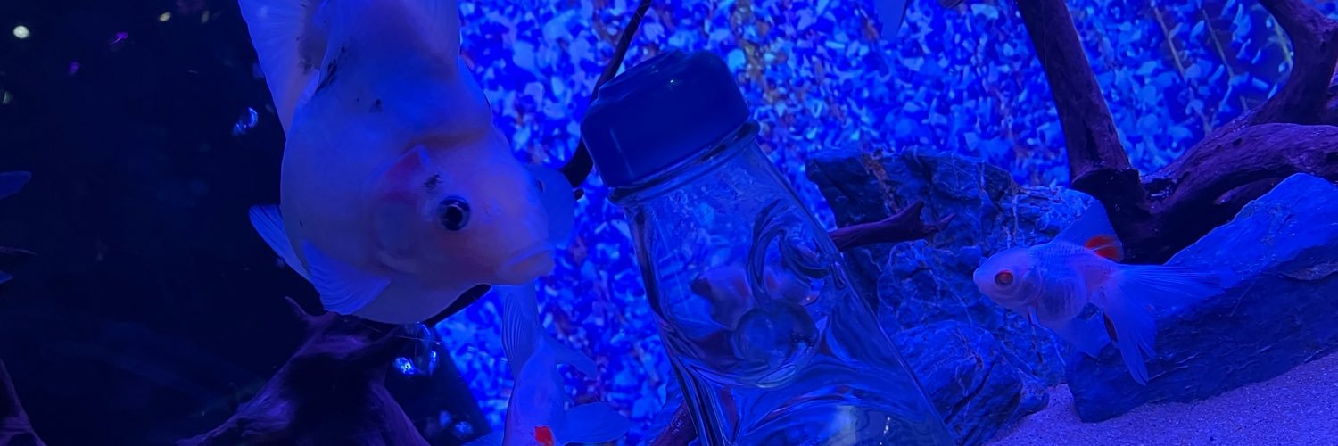 AkachanHobby's profile banner image