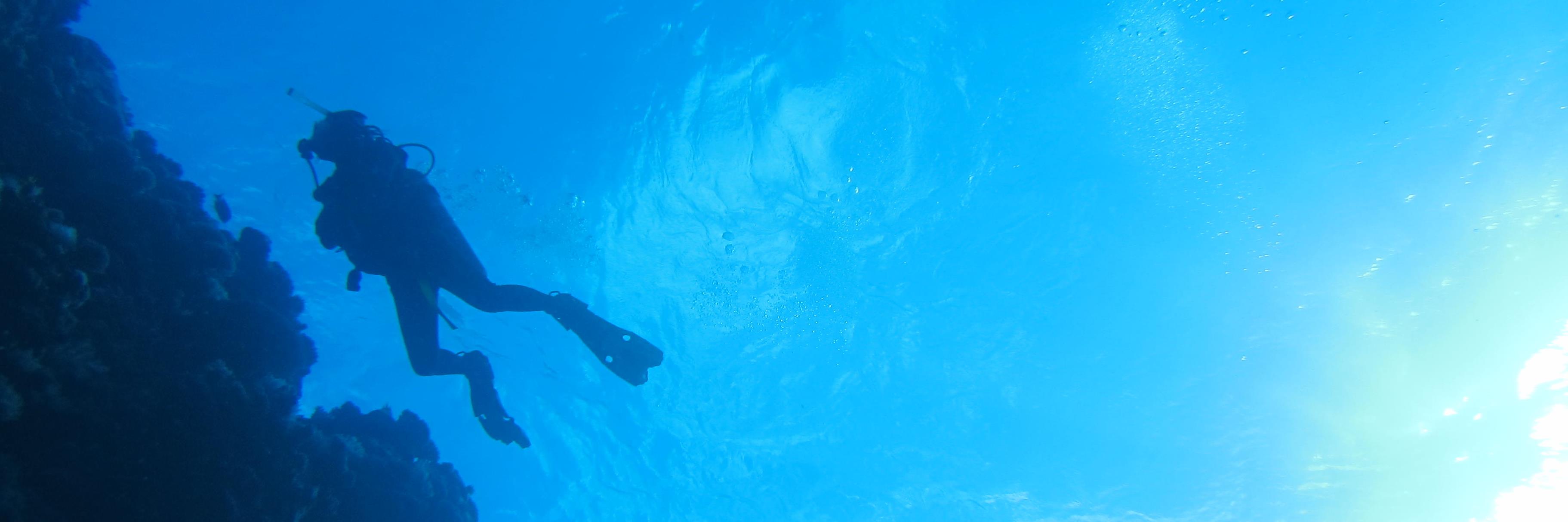 seads_diving's profile banner image