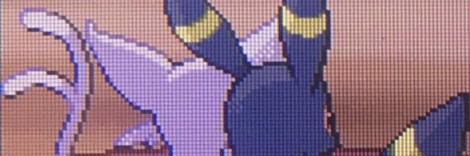 20Brayann's profile banner image