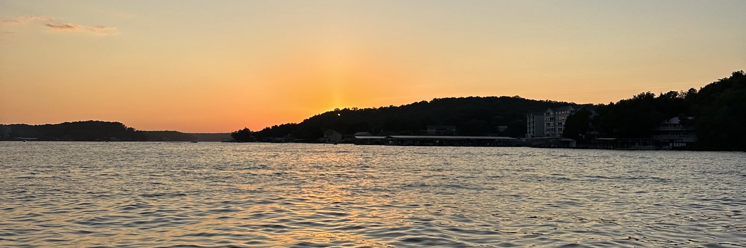 sophie colson banner