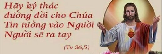 Phamthutrang197's profile banner image