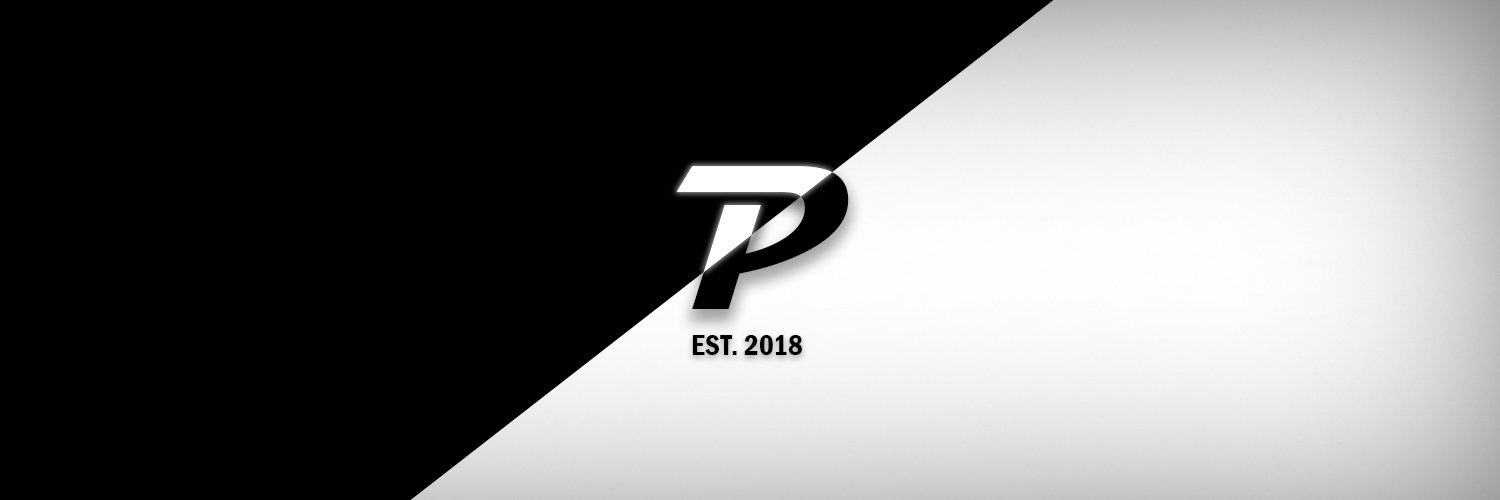 Team Paradox banner