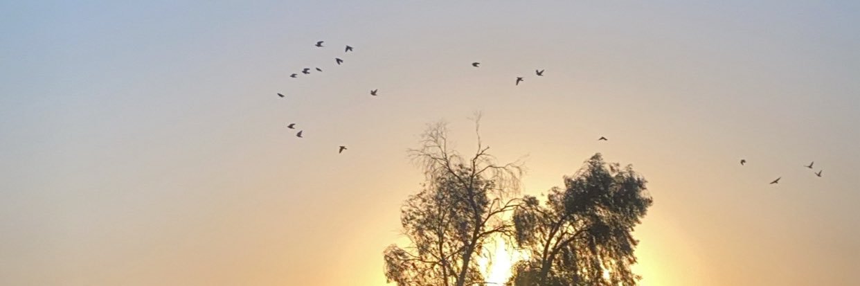 خالد الحنايا banner