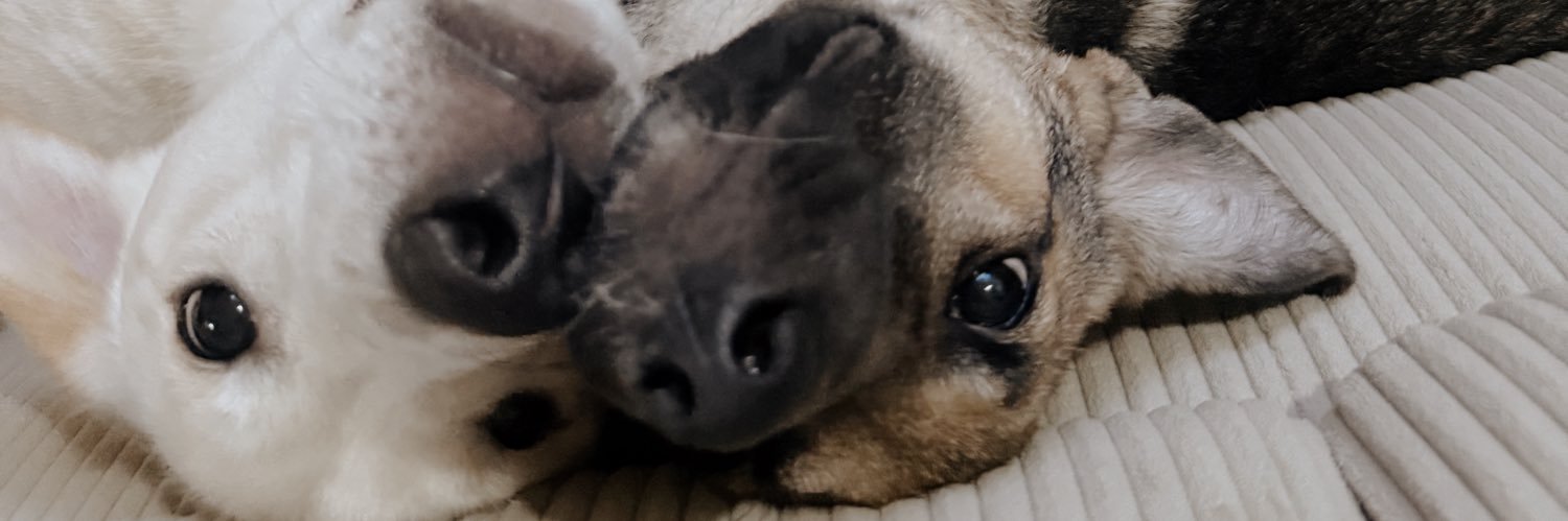 arreliiiii's profile banner image
