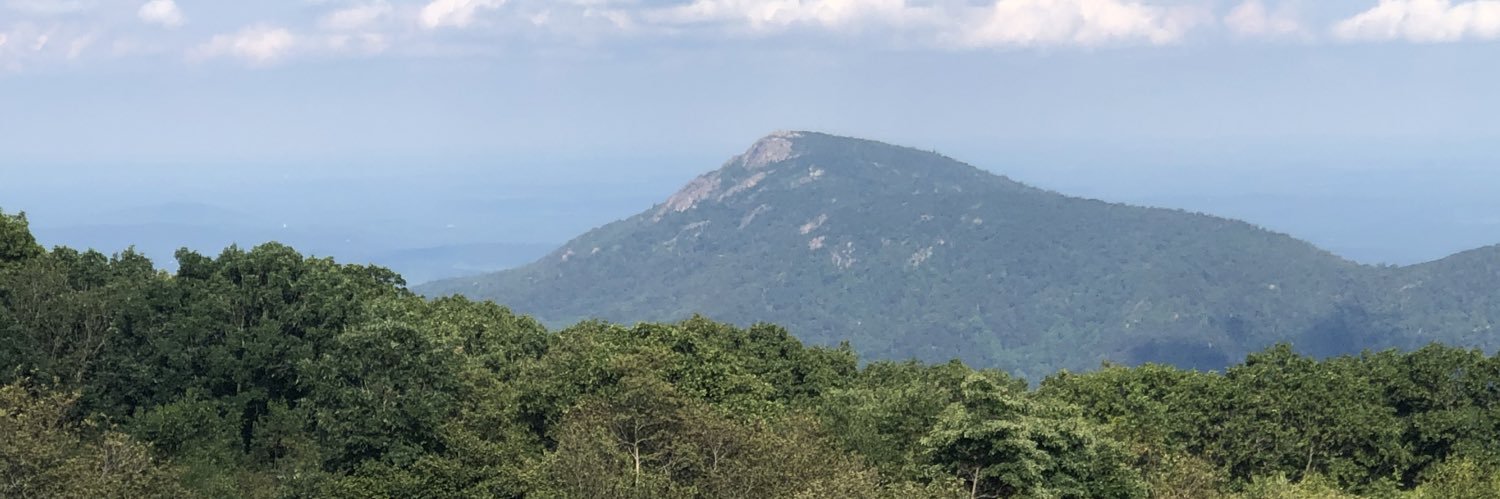 Allison Verrilli banner