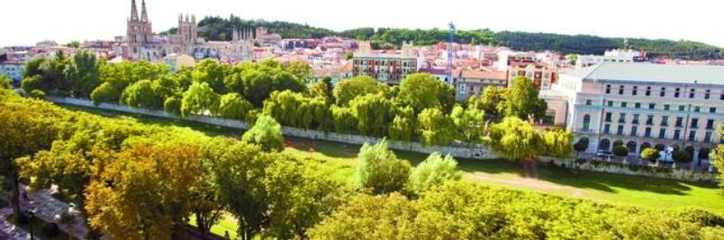 quialvarez's profile banner image
