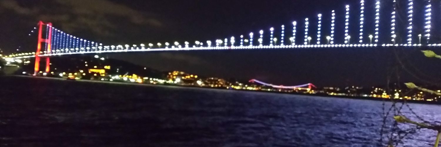 devletiaali's profile banner image