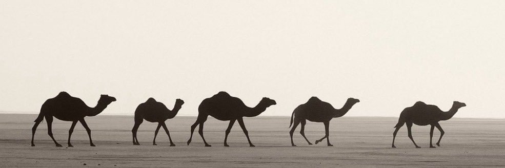 abbo_seba's profile banner image