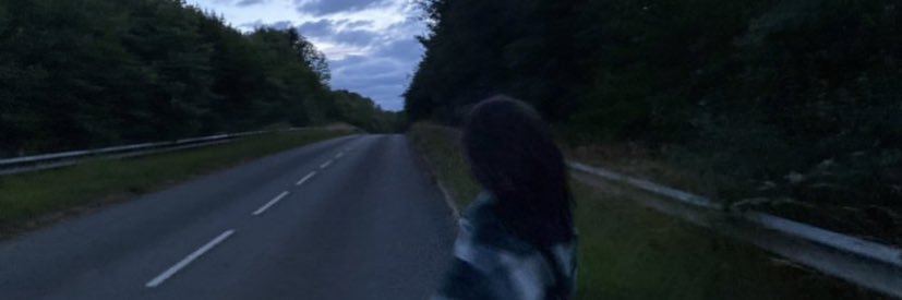 LMoussay's profile banner image