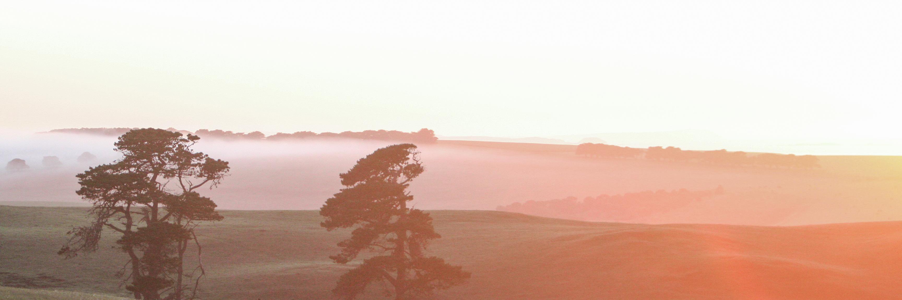 theshiftworkmum's profile banner image